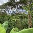  Land for sale in Vilcabamba Victoria, Loja, Vilcabamba Victoria, Loja, Loja