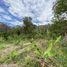  Land for sale in Vilcabamba Victoria, Loja, Vilcabamba Victoria, Loja, Loja
