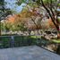 0 平米 Office for rent in Morelos, Cuernavaca, Morelos