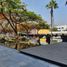 0 平米 Office for rent in Morelos, Cuernavaca, Morelos