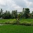 4 Kamar Vila for sale in Ubud, Gianyar, Ubud