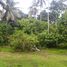  Land for sale in Selemadeg, Tabanan, Selemadeg