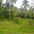  Land for sale in Selemadeg, Tabanan, Selemadeg