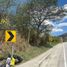  Land for sale in Vilcabamba Victoria, Loja, Vilcabamba Victoria, Loja, Loja