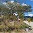  Land for sale in Vilcabamba Victoria, Loja, Vilcabamba Victoria, Loja, Loja