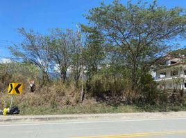  Land for sale in Vilcabamba Victoria, Loja, Vilcabamba Victoria, Loja, Loja