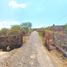  Land for sale in Zapotlan Del Rey, Jalisco, Zapotlan Del Rey
