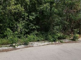  Terreno (Parcela) en venta en Cozumel, Quintana Roo, Cozumel, Quintana Roo