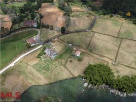  Terreno (Parcela) en venta en El Carmen, Norte De Santander, El Carmen