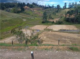  Land for sale in Guarne, Antioquia, Guarne