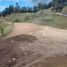  Land for sale in Guarne, Antioquia, Guarne
