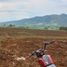  Land for sale in Maramag, Northern Mindanao, Maramag