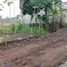 3 Schlafzimmer Haus zu verkaufen in Cipondoh, Banten, Cipondoh