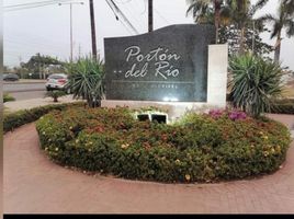  Land for sale in Daule, Guayas, Daule, Daule