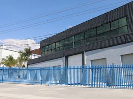 1,300 m² Office for rent in Queretaro, Queretaro, Queretaro
