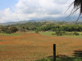  Terreno (Parcela) en venta en Jamundi, Valle Del Cauca, Jamundi