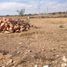  Terreno (Parcela) en venta en Tecozautla, Hidalgo, Tecozautla
