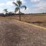  Terreno (Parcela) en venta en Tecozautla, Hidalgo, Tecozautla