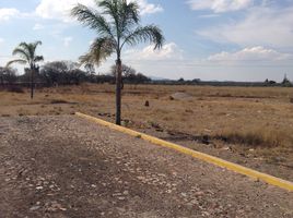  Terreno (Parcela) en venta en Tecozautla, Hidalgo, Tecozautla