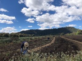  Grundstück zu verkaufen in Amanalco, Mexico, Amanalco, Mexico