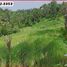  Land for sale in Selemadeg, Tabanan, Selemadeg