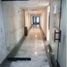 520.45 SqM Office for rent in Centro, Tabasco, Centro