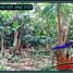  Land for sale in Selemadeg, Tabanan, Selemadeg