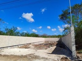  Grundstück zu verkaufen in Conkal, Yucatan, Conkal