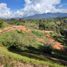  Land for sale in Marinilla, Antioquia, Marinilla