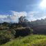  Land for sale in Marinilla, Antioquia, Marinilla