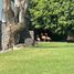 Villa 4 chambre à vendre à Cuernavaca, Morelos, Cuernavaca