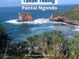  Land for sale in Tepus, Gunung Kidul, Tepus