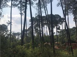  Grundstück zu verkaufen in Valle De Bravo, Mexico, Valle De Bravo