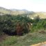 Terrain à vendre à Zapopan, Jalisco, Zapopan, Jalisco