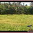  Land for sale in Selemadeg, Tabanan, Selemadeg