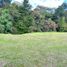 Terrain à vendre à Rionegro, Antioquia, Rionegro
