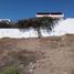  Grundstück zu verkaufen in Ensenada, Baja California, Ensenada