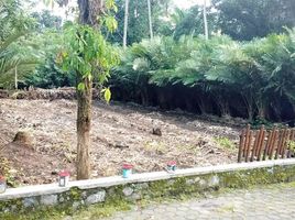  Land for sale in Yogyakarta, Seyegan, Sleman, Yogyakarta