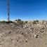  Land for rent in Torreon, Coahuila, Torreon