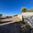  Land for rent in Torreon, Coahuila, Torreon