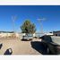  Land for rent in Torreon, Coahuila, Torreon