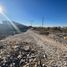  Land for rent in Torreon, Coahuila, Torreon