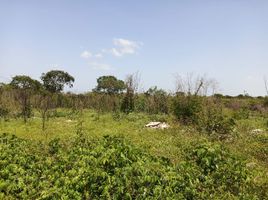 Grundstück zu verkaufen in Conkal, Yucatan, Conkal