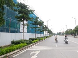 4 Schlafzimmer Reihenhaus zu verkaufen in Long Bien, Hanoi, Thach Ban