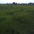  Land for sale in Zumpango, Mexico, Zumpango