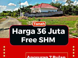  Land for sale in Gambiran, Banyuwangi, Gambiran