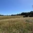  Land for sale in Llanquihue, Los Lagos, Puerto Varas, Llanquihue