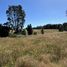  Land for sale in Llanquihue, Los Lagos, Puerto Varas, Llanquihue