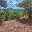  Land for sale in Tepic, Nayarit, Tepic