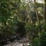  Land for sale in Tepic, Nayarit, Tepic